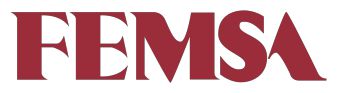 FEMSA